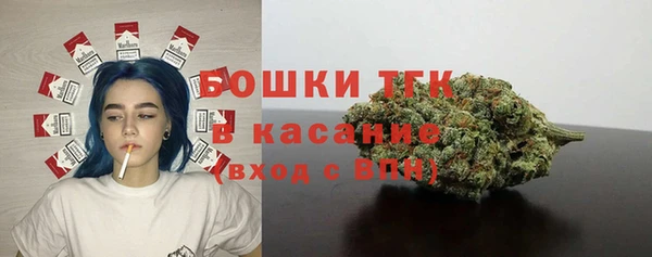 гидра Медвежьегорск
