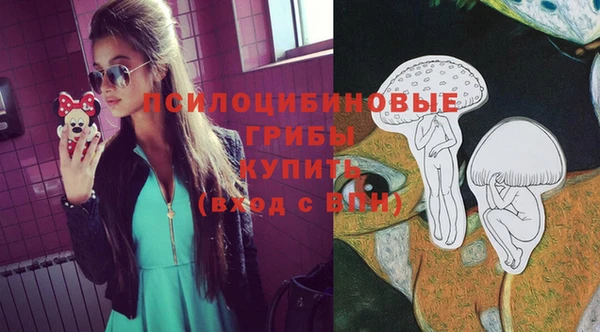 тгк Абаза
