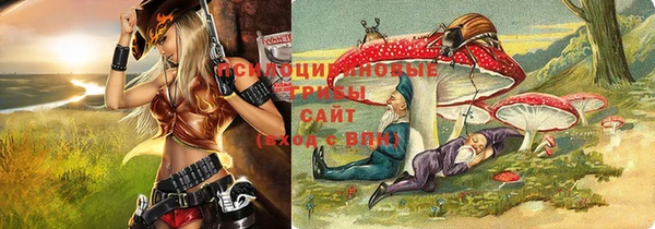 стафф Алексеевка