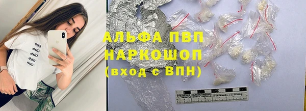 тгк Абаза